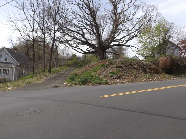 a view of a yard with a large tree