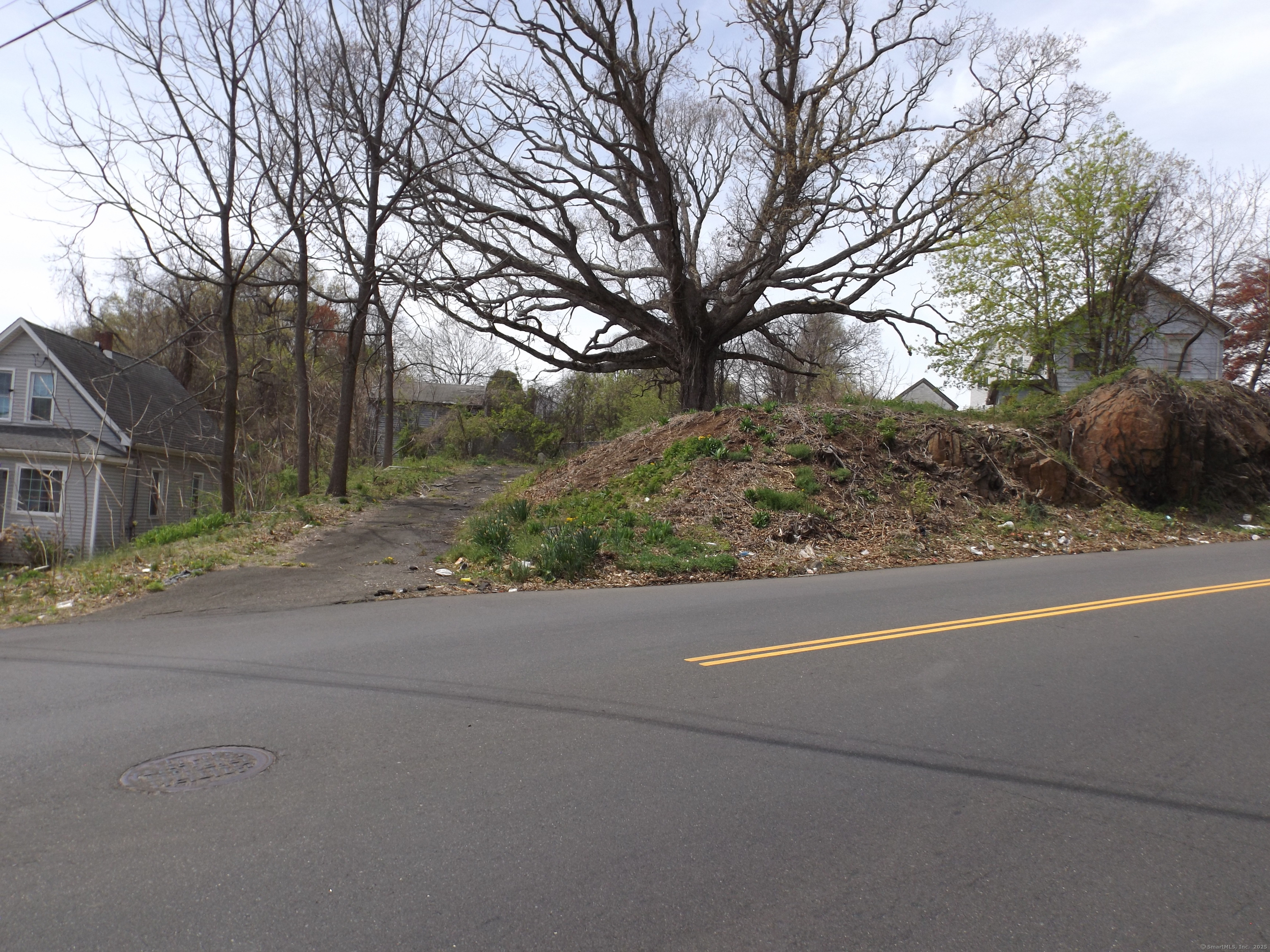 213 Exeter Street Bridgeport, CT 06606 - Photo 1 of 12 a view of a yard with a large tree