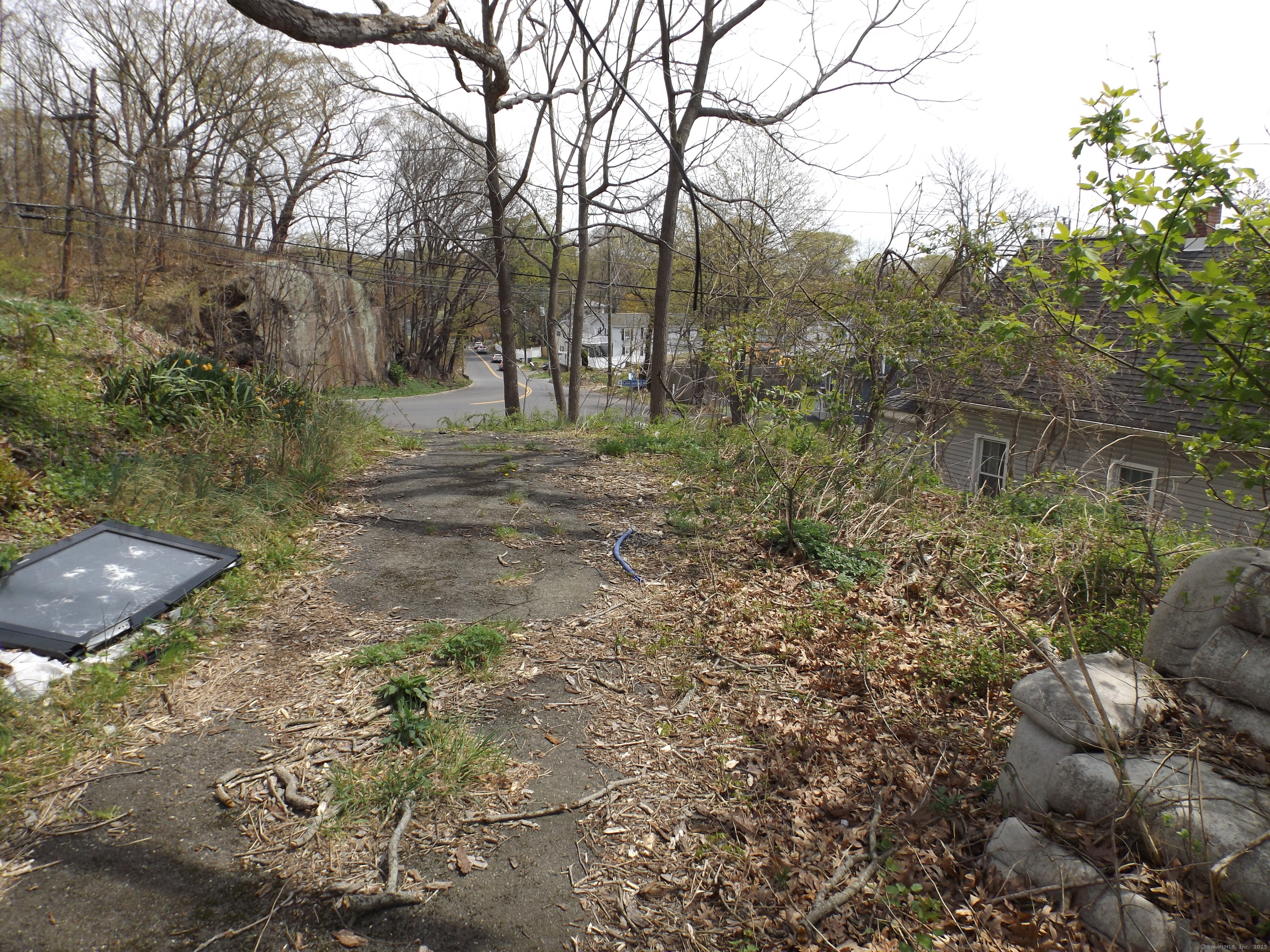 213 Exeter Street Bridgeport, CT 06606 - Photo 4 of 12 a view of a forest with trees