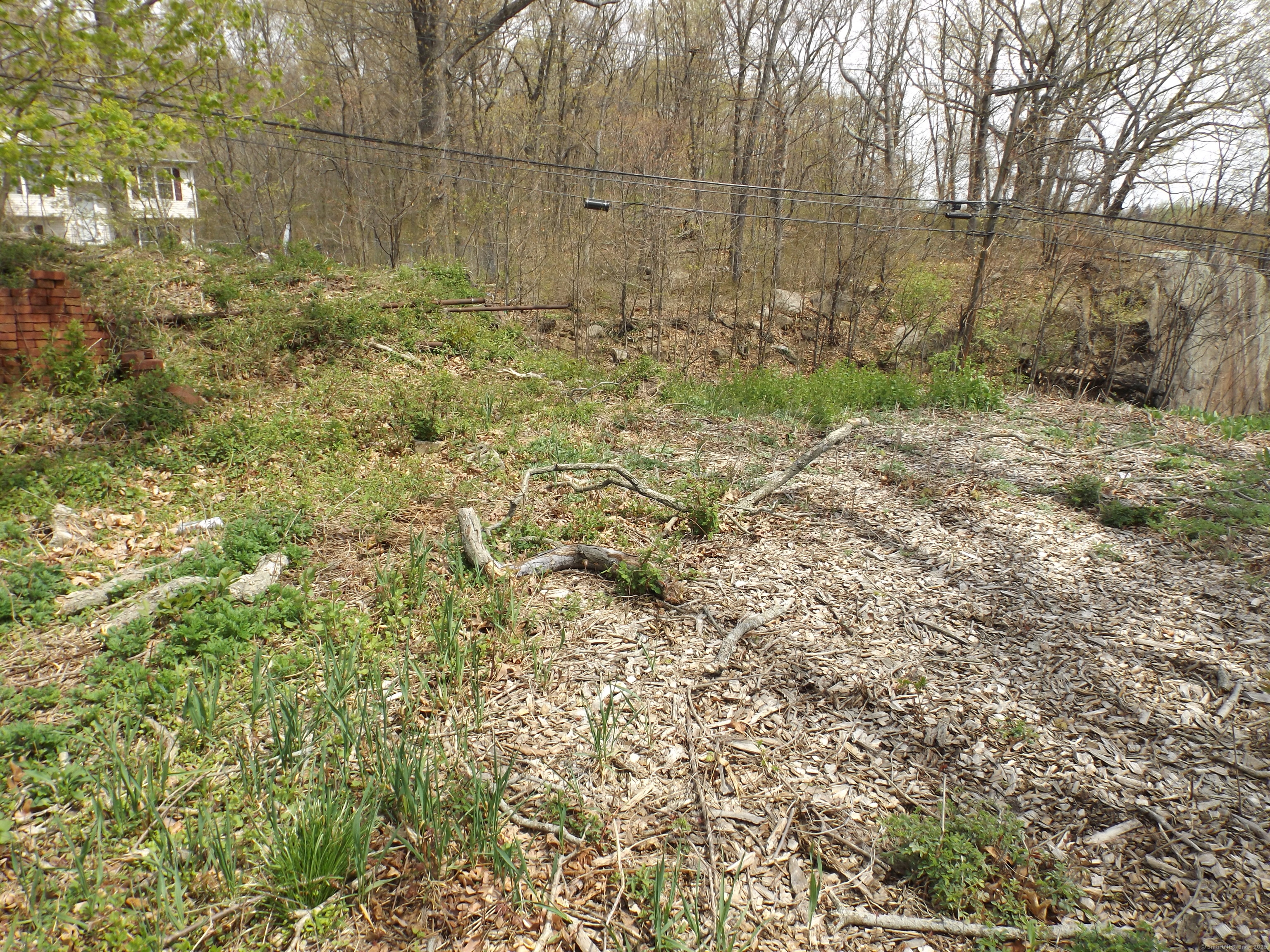 213 Exeter Street Bridgeport, CT 06606 - Photo 6 of 12 a view of a backyard of the house