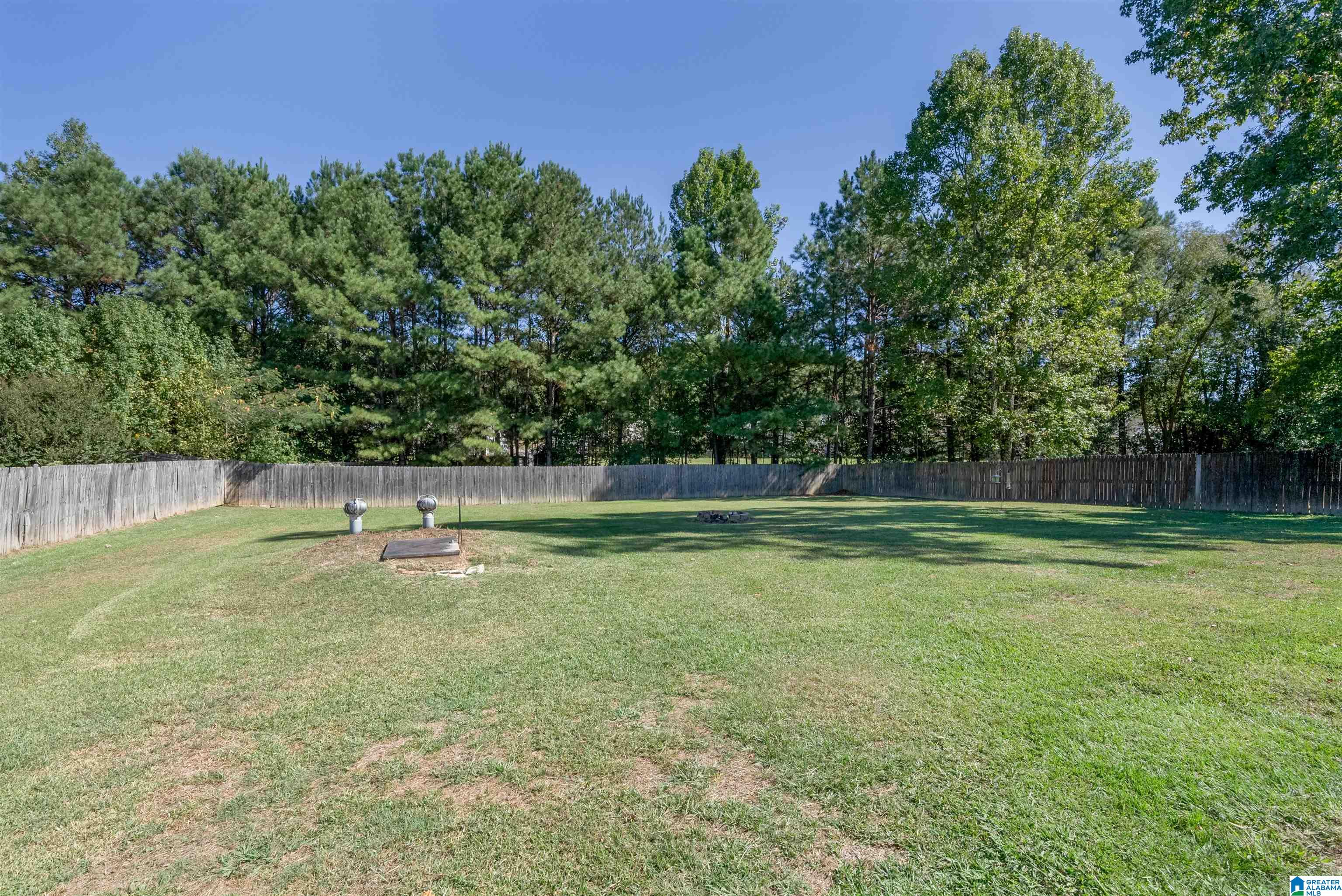 10818 Middle Coaling Road Cottondale, AL 35453 - Photo 35 of 35