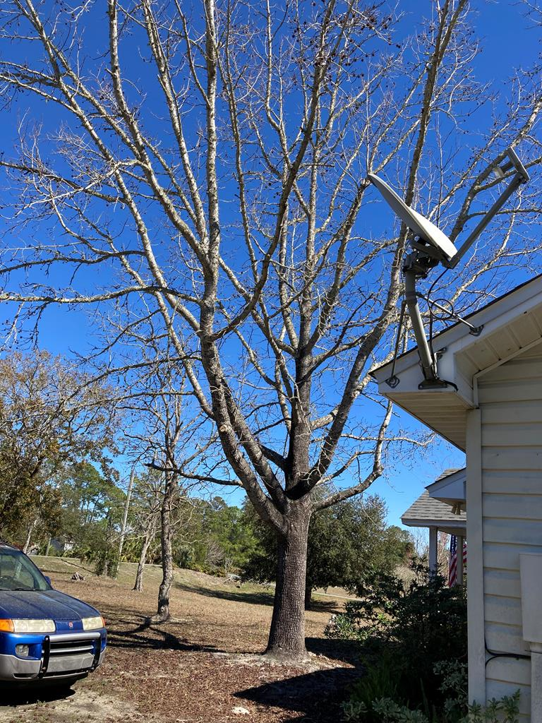 192 River Road Carrabelle, FL 32322 - Photo 46 of 50 Gallery Image 46