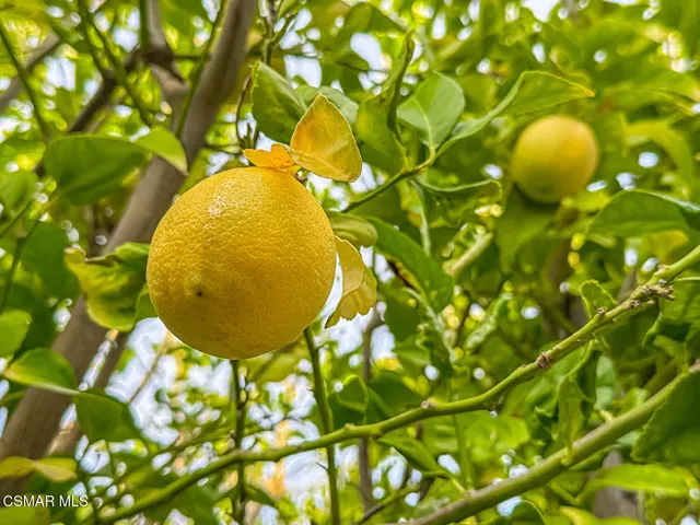 $2,980,000 | 25877 Shady Oak Lane, Valencia, CA 91381