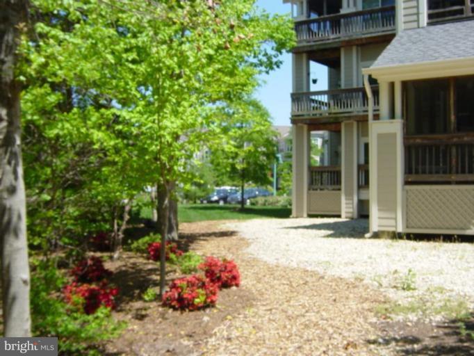 521 Runabout Loop, Unit N3 Solomons, MD 20688 - Photo 2 of 27 Exterior #2