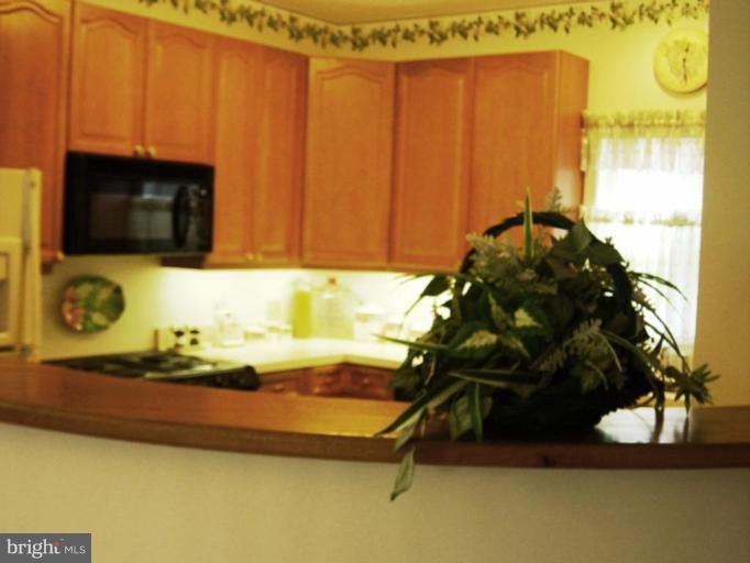 521 Runabout Loop, Unit N3 Solomons, MD 20688 - Photo 11 of 27 Kitchen