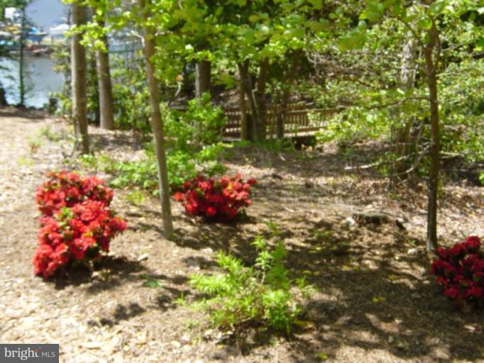 521 Runabout Loop, Unit N3 Solomons, MD 20688 - Photo 6 of 27 Community Amenities 1