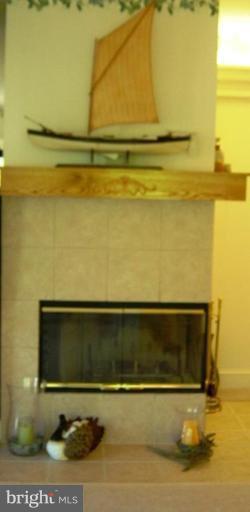 521 Runabout Loop, Unit N3 Solomons, MD 20688 - Photo 10 of 27 Fireplace
