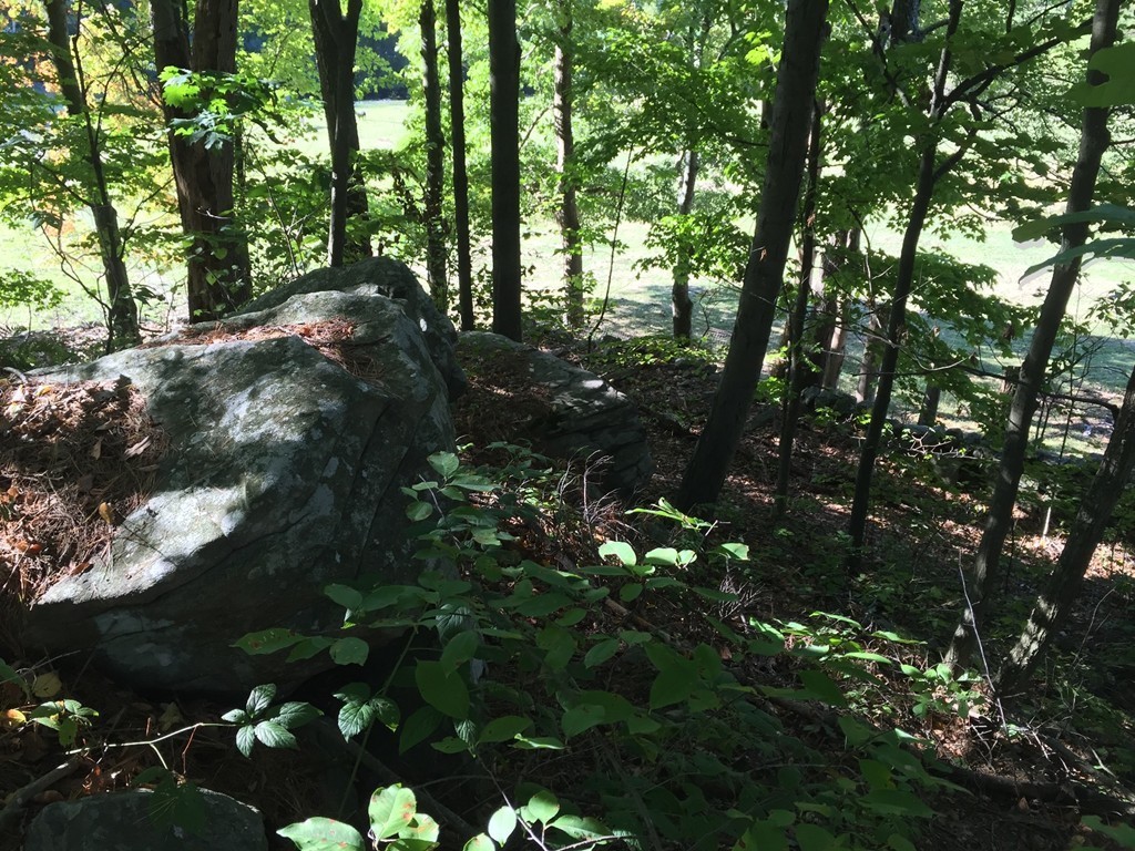 90 Mountain Road Erving, MA 01344 - Photo 23 of 25 Gallery Image 23