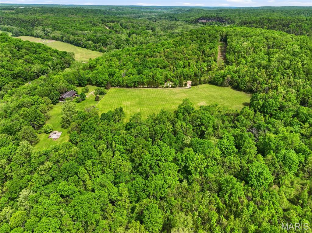 11004 Western Road Duke, MO 65461 - Photo 12 of 60