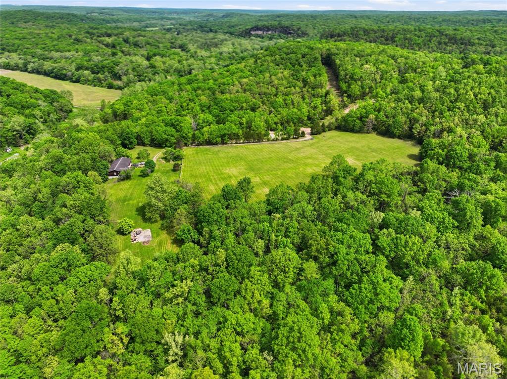 11004 Western Road Duke, MO 65461 - Photo 13 of 60