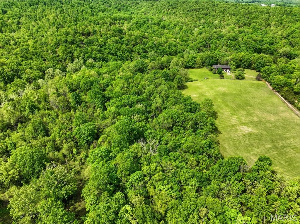 11004 Western Road Duke, MO 65461 - Photo 9 of 60