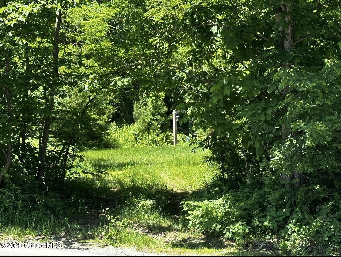 97 Library Avenue Warrensburg, NY 12885 - Photo 3 of 10 IMG_9180