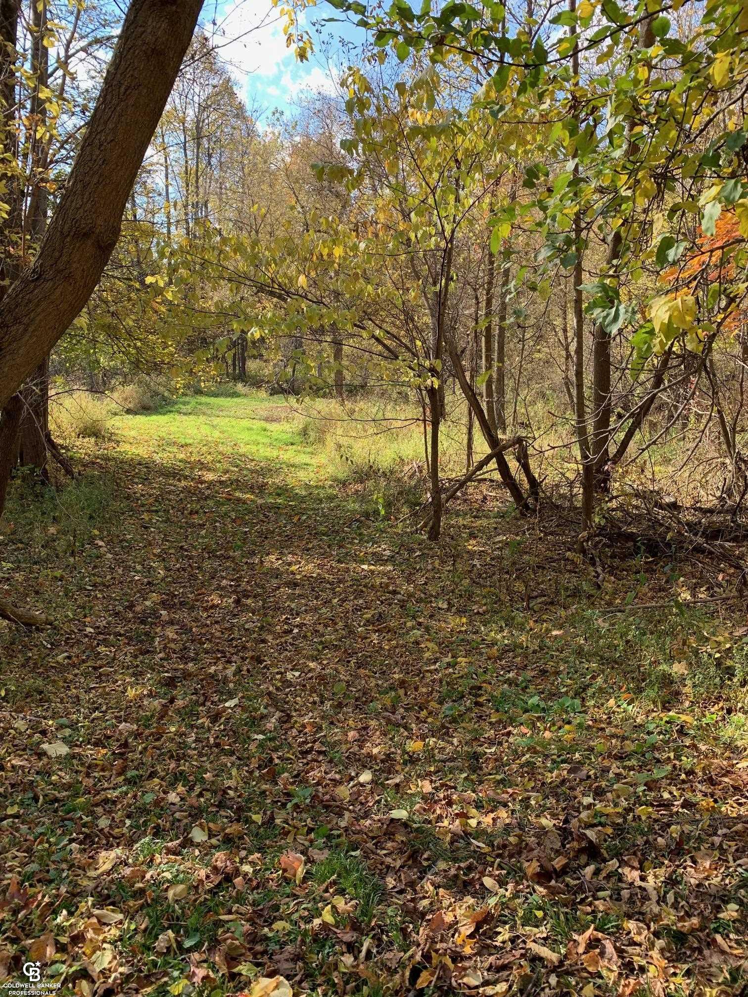 3225 Hartsell Road Owendale, MI 48754 - Photo 72 of 78 Beautiful 8 acres to roam