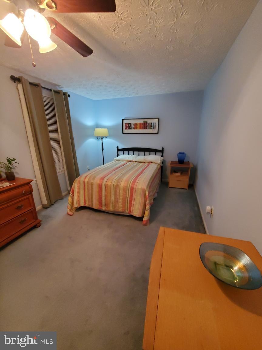 32 Hyacinth Road Parkville, MD 21234 - Photo 14 of 23 Main Bedroom