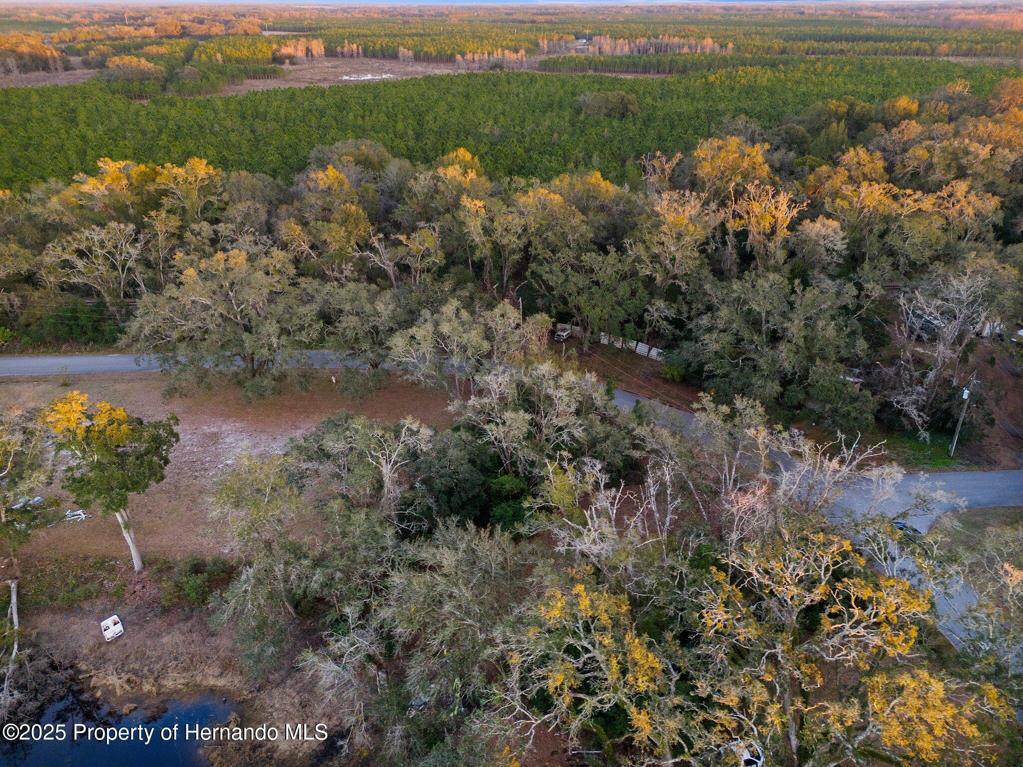 0 Alabama Road Spring Hill, FL 34610 - Photo 6 of 11