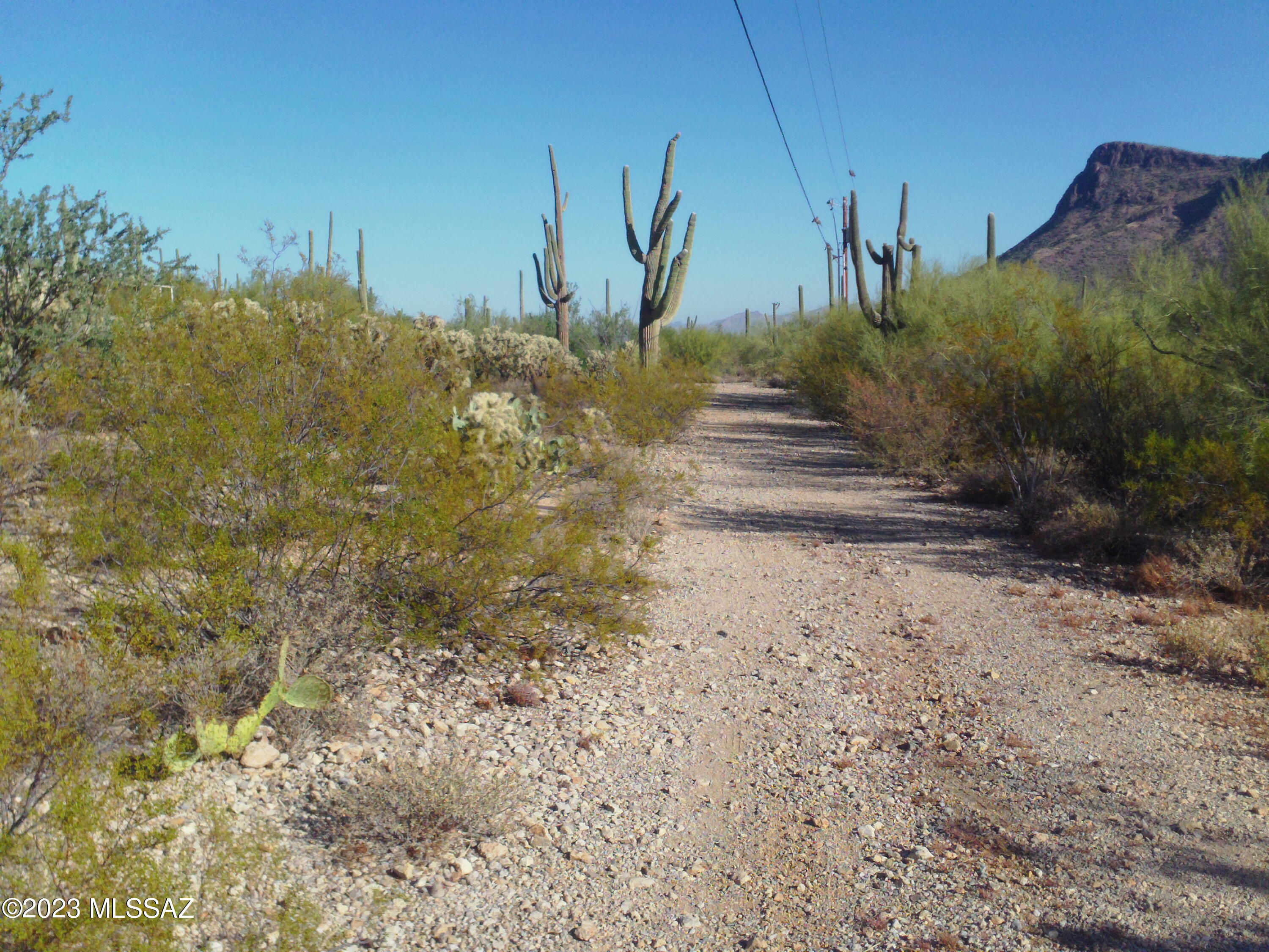 9930 West Picture Rocks Road Tucson, AZ 85743 - Photo 2 of 34 Gallery Image 2
