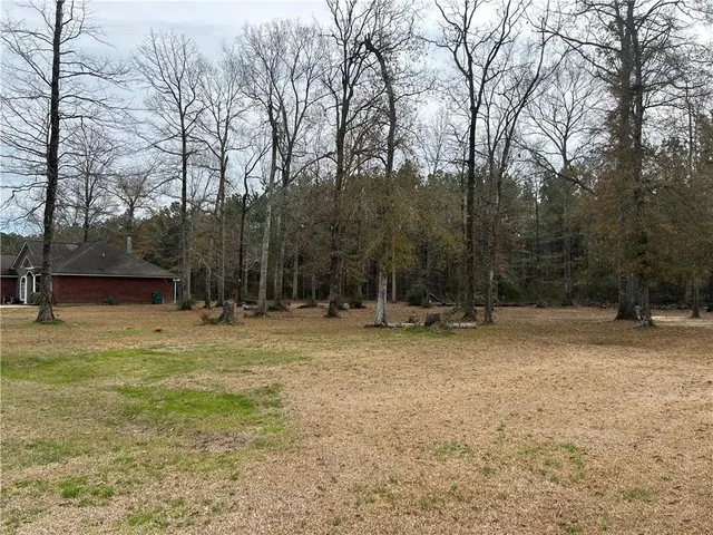 $25,000 | 27720 Ivy Springs Drive, Independence, LA 70443