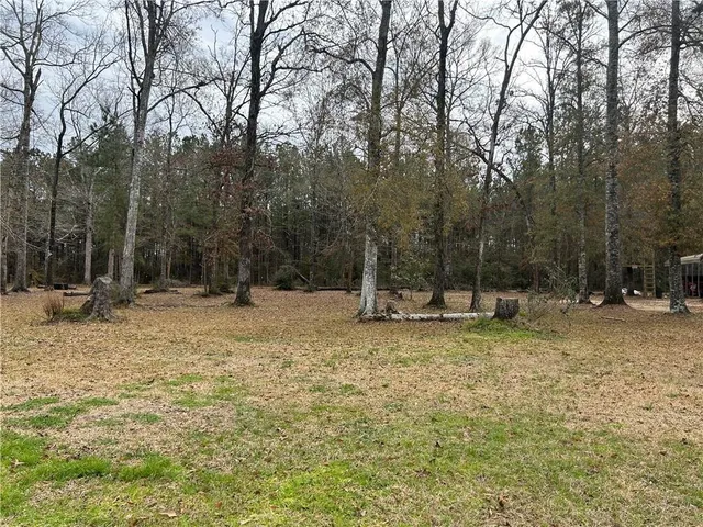 $25,000 | 27720 Ivy Springs Drive, Independence, LA 70443