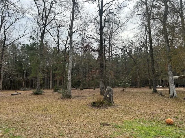 $25,000 | 27720 Ivy Springs Drive, Independence, LA 70443