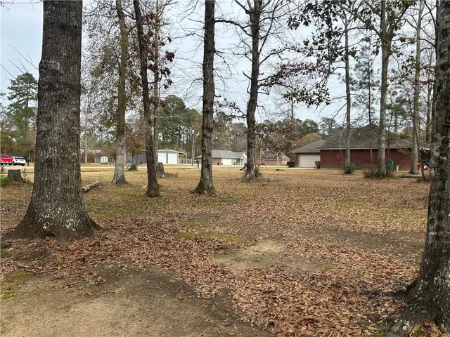 $25,000 | 27720 Ivy Springs Drive, Independence, LA 70443