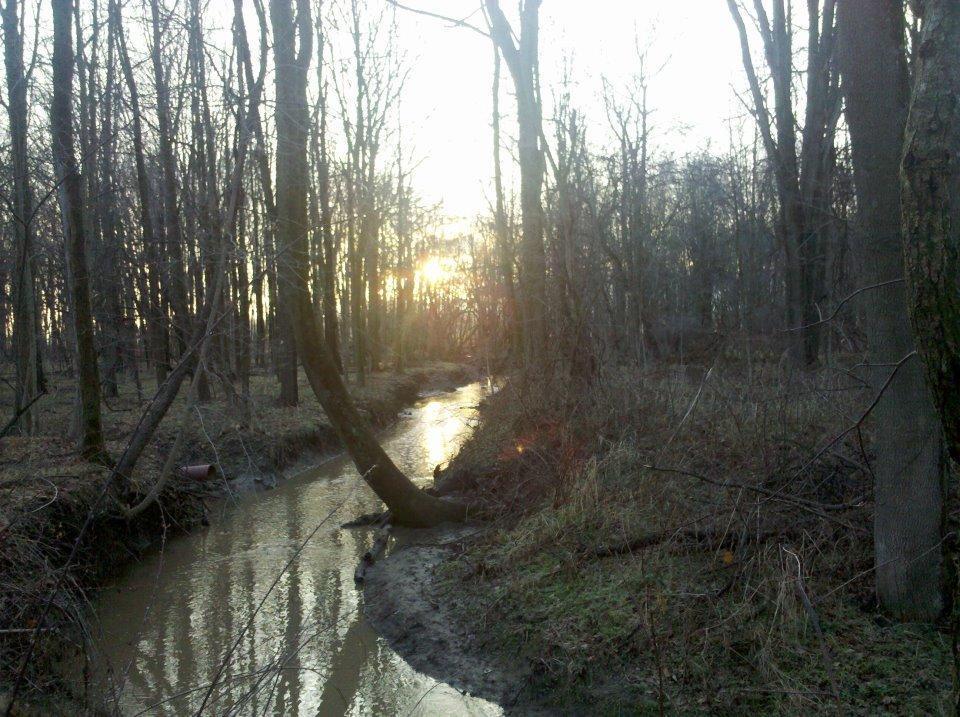 0 Cooper Road Northwest Johnstown, OH 43031 - Photo 1 of 7