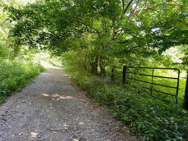 113 Lee's Creek Road Dover, KY 41034 - Photo 14 of 30 7