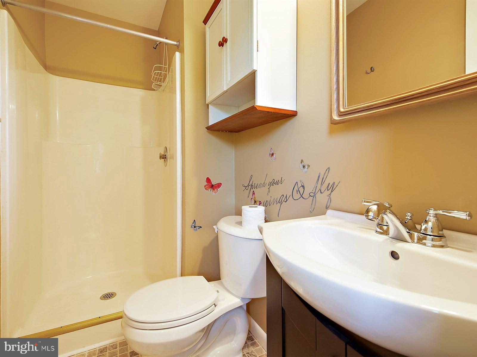 10 Wesley Road Quarryville, PA 17566 - Photo 13 of 25 a bathroom with a sink a toilet and shower