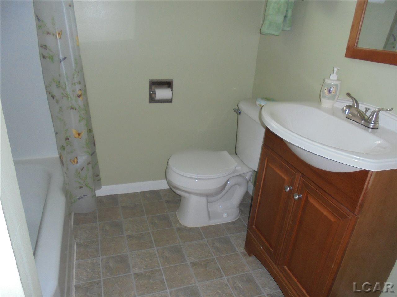 710 Ternes Road Tecumseh, MI 49286 - Photo 21 of 22 31288692-20.JPG