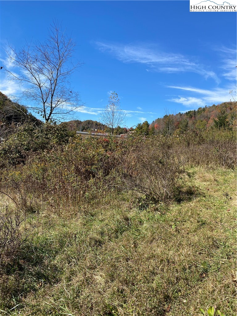 Nc-105 Highway Boone, NC 28607 - Photo 14 of 17 a view of a yard with a tree