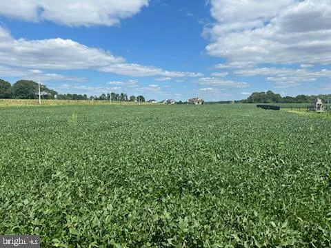 a view of a green field with lots of bushes