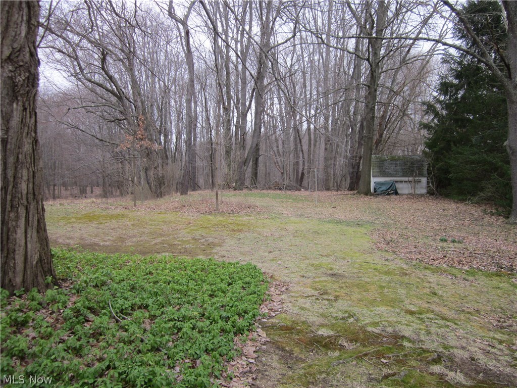 5789 Rhodes Road Kent, OH 44240 - Photo 16 of 16 Gallery Image 16