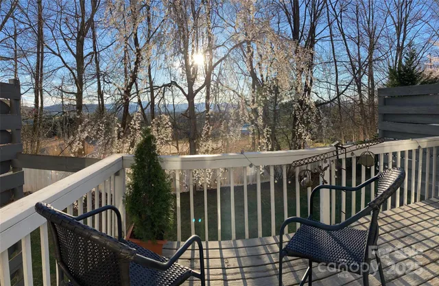 a view of tree covered with trees