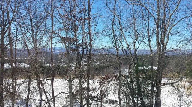 a view of tree in the middle of a house