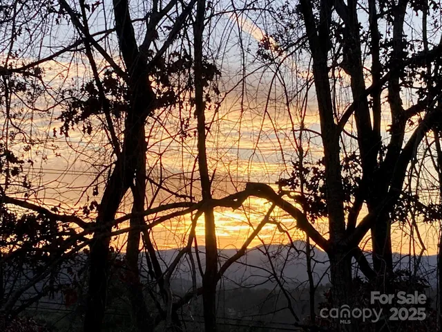 a view of tree in the middle of a yard