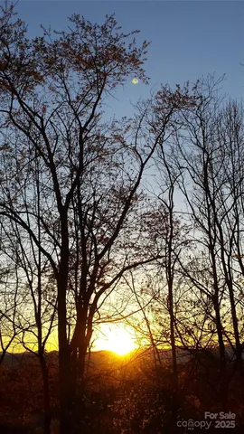 a view of a backyard of a house