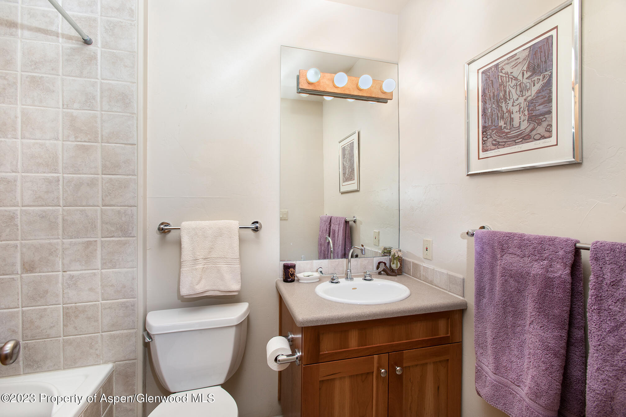 764 Promontory Lane Basalt, CO 81621 - Photo 27 of 43 a bathroom with a toilet sink and mirror