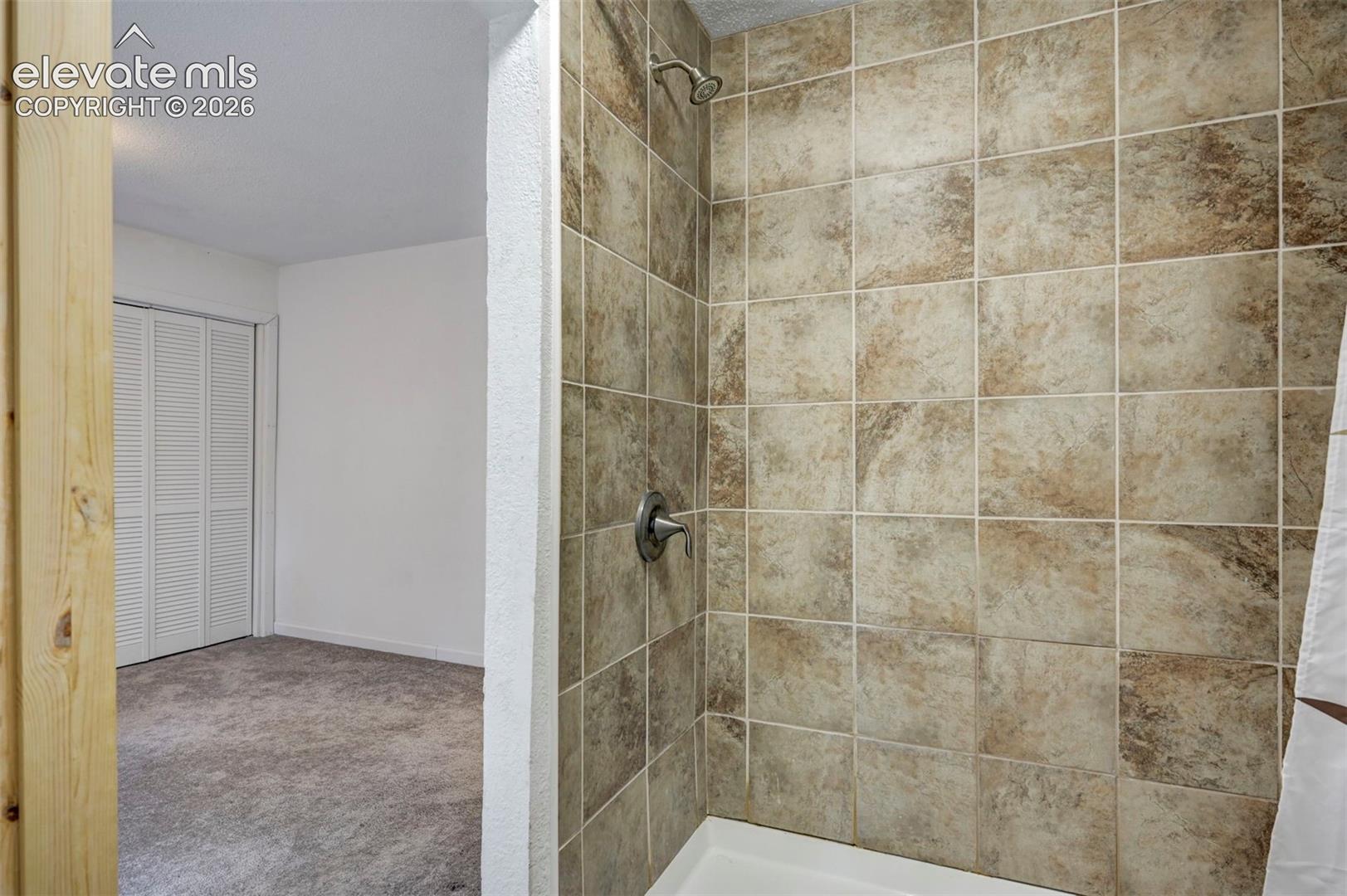 10689 Charles Lane Rye, CO 81069 - Photo 15 of 43 Gallery Image 15