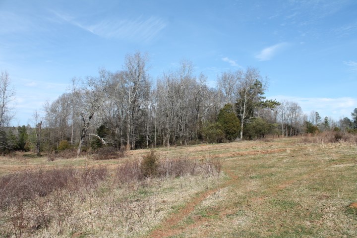 0 Beeks Road Belton, SC 29627 - Photo 11 of 18