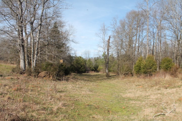 0 Beeks Road Belton, SC 29627 - Photo 12 of 18