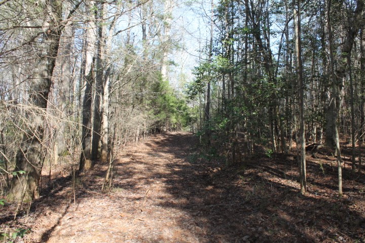 0 Beeks Road Belton, SC 29627 - Photo 14 of 18