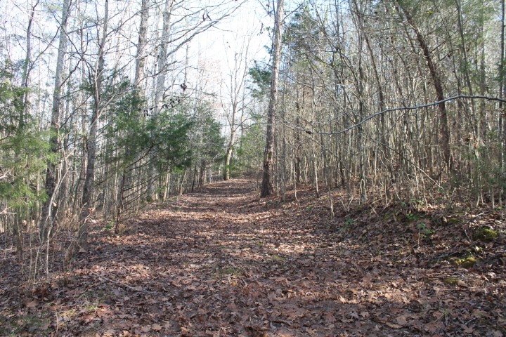 0 Beeks Road Belton, SC 29627 - Photo 15 of 18