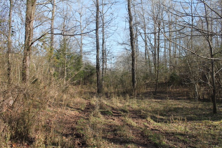 0 Beeks Road Belton, SC 29627 - Photo 16 of 18