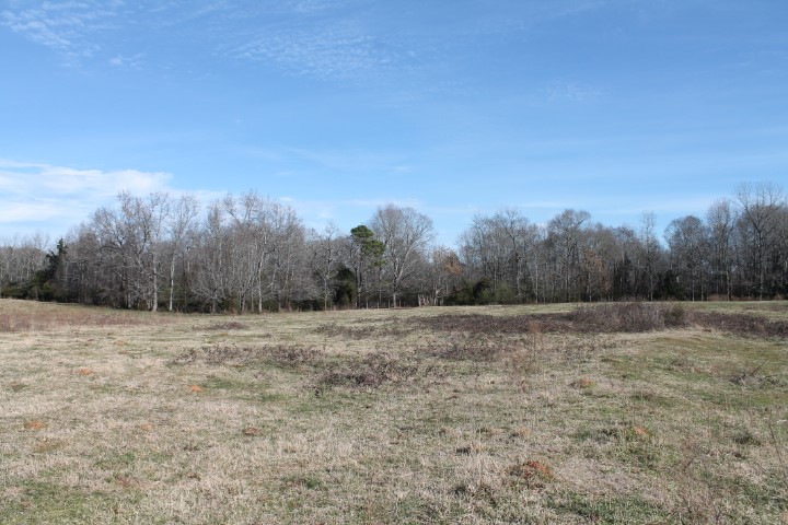 0 Beeks Road Belton, SC 29627 - Photo 5 of 18