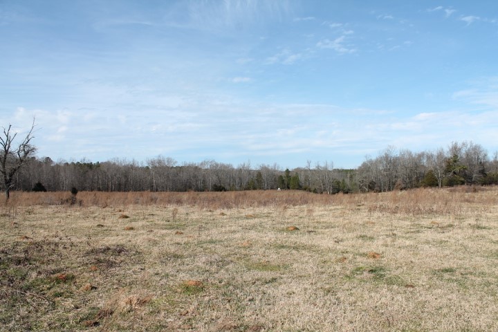 0 Beeks Road Belton, SC 29627 - Photo 6 of 18