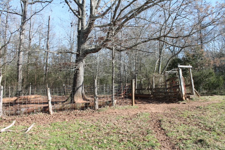 0 Beeks Road Belton, SC 29627 - Photo 7 of 18