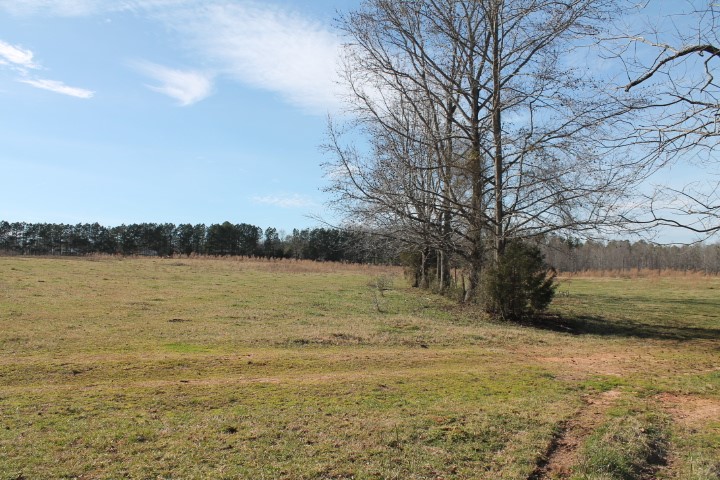 0 Beeks Road Belton, SC 29627 - Photo 8 of 18