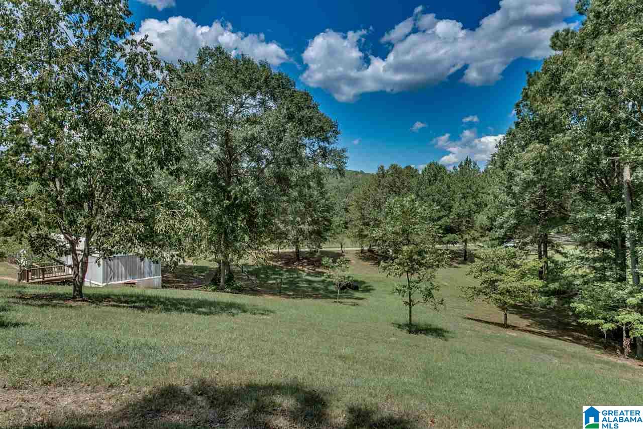 184 Jenkins Farm Road Helena, AL 35080 - Photo 22 of 25