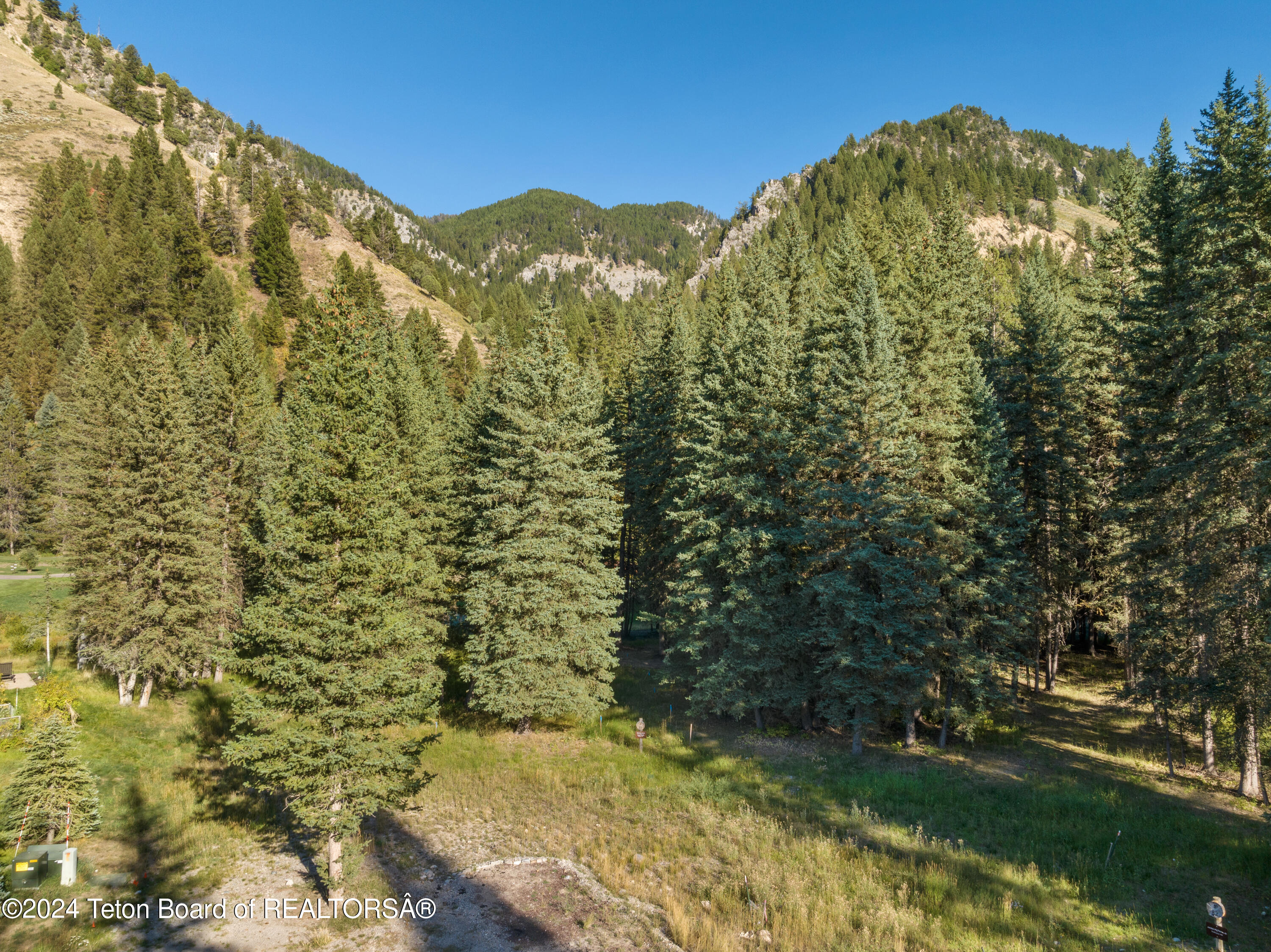 15630 Wagon Road Jackson, WY 83001 - Photo 11 of 15 wideviewlot