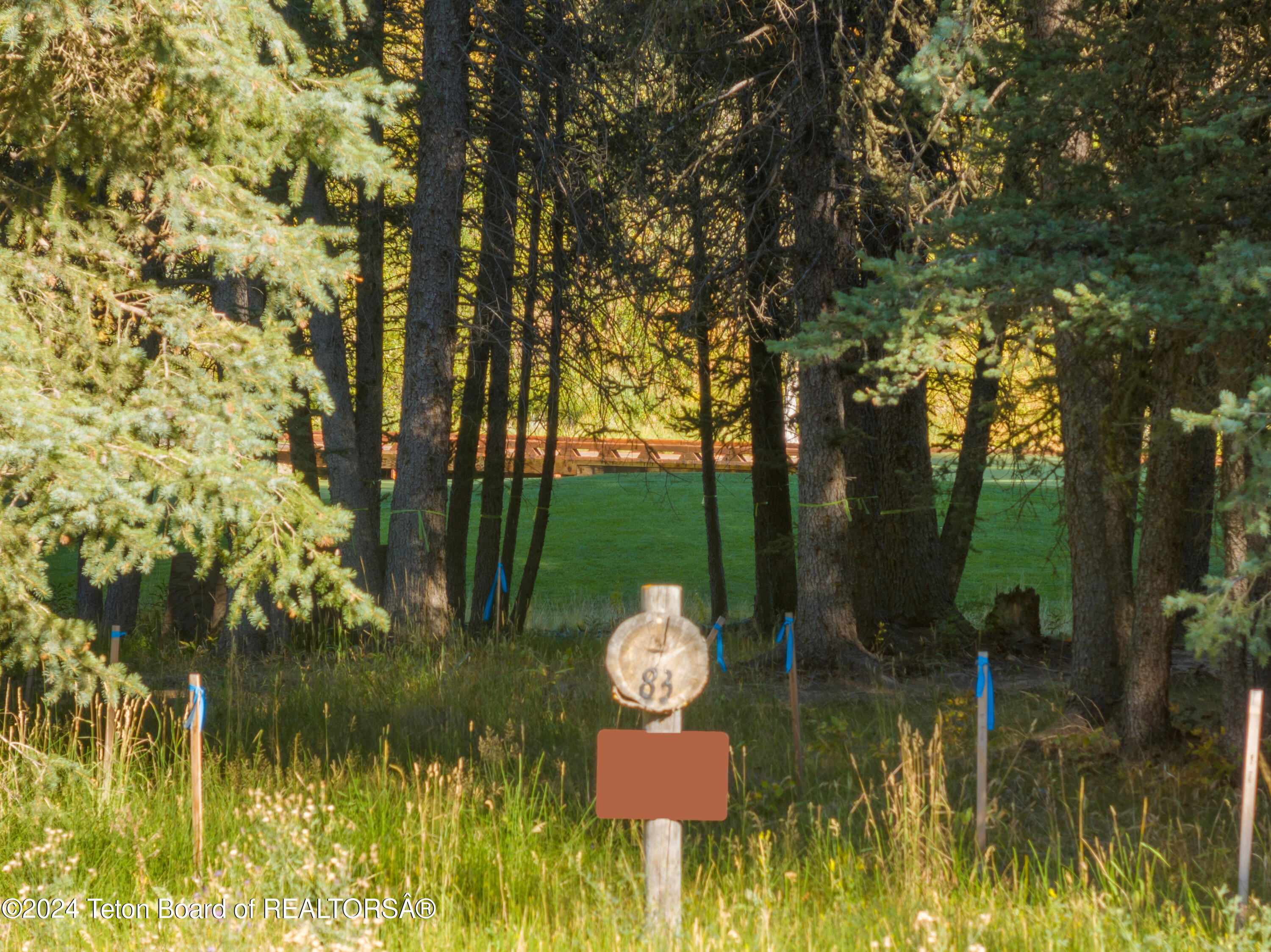 15630 Wagon Road Jackson, WY 83001 - Photo 4 of 15 all staked ready to build