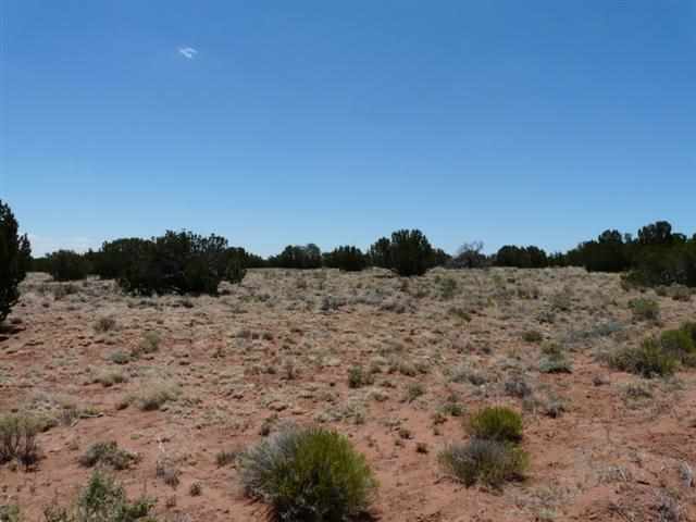 Ccr Unit 3 Ccr Heber, AZ 85928 - Photo 2 of 7